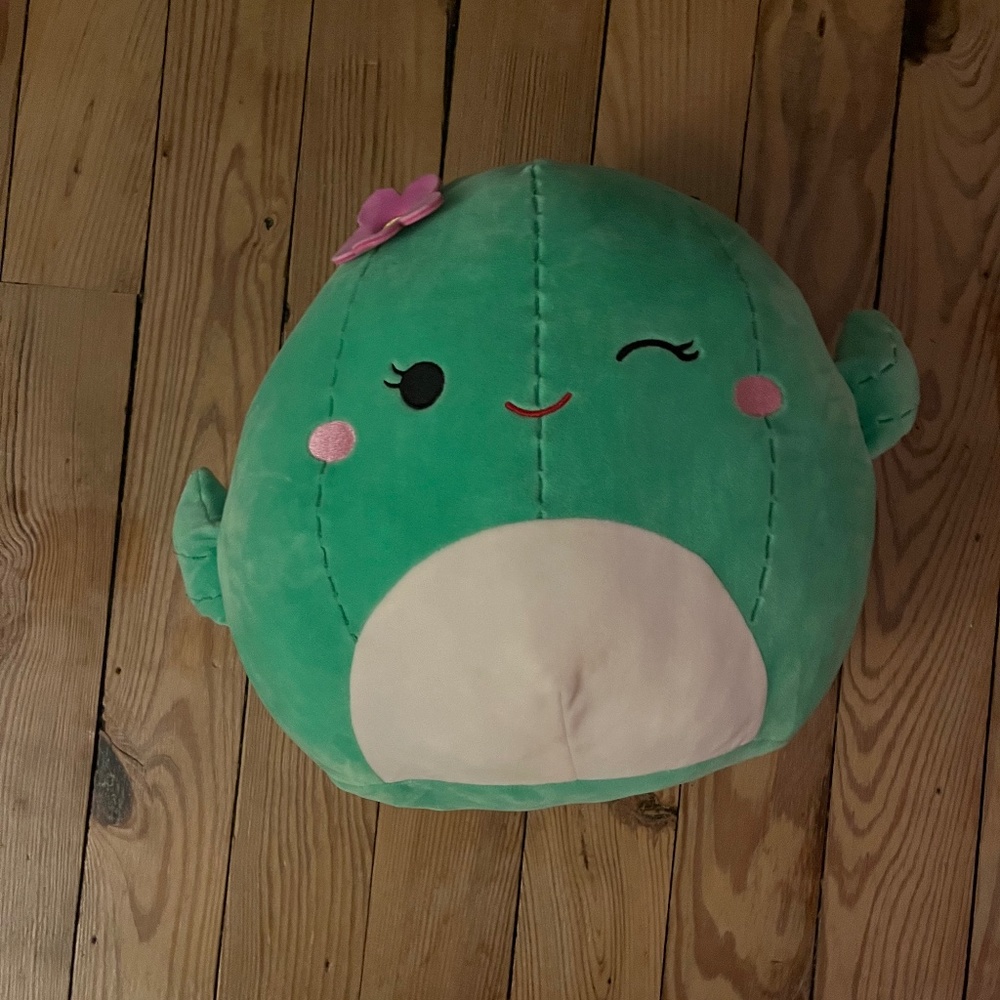 Maritza the Cactus Squishmallow 12”